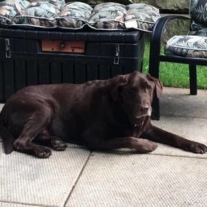 Meet your Posher, Barb